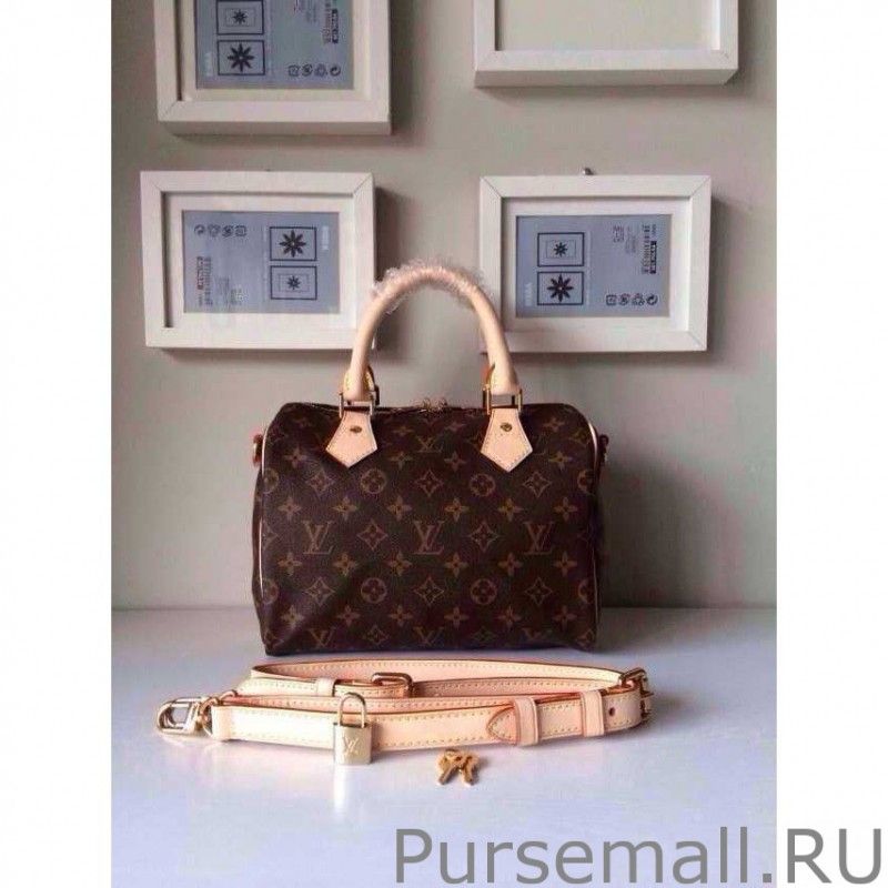 Speedy Bandouliere 25 Monogram M41113