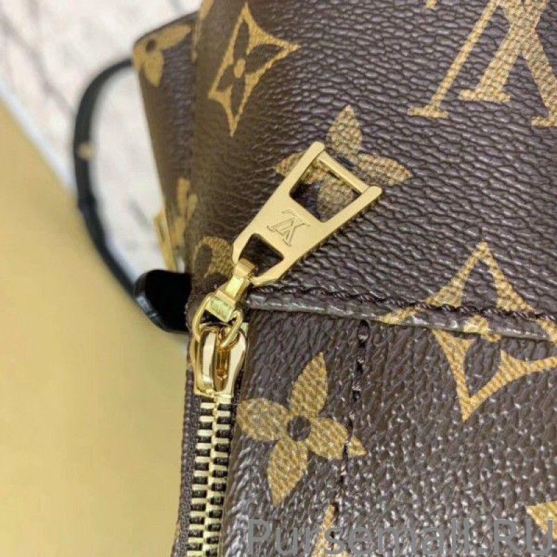 Mini Palm Springs Backpack M44873