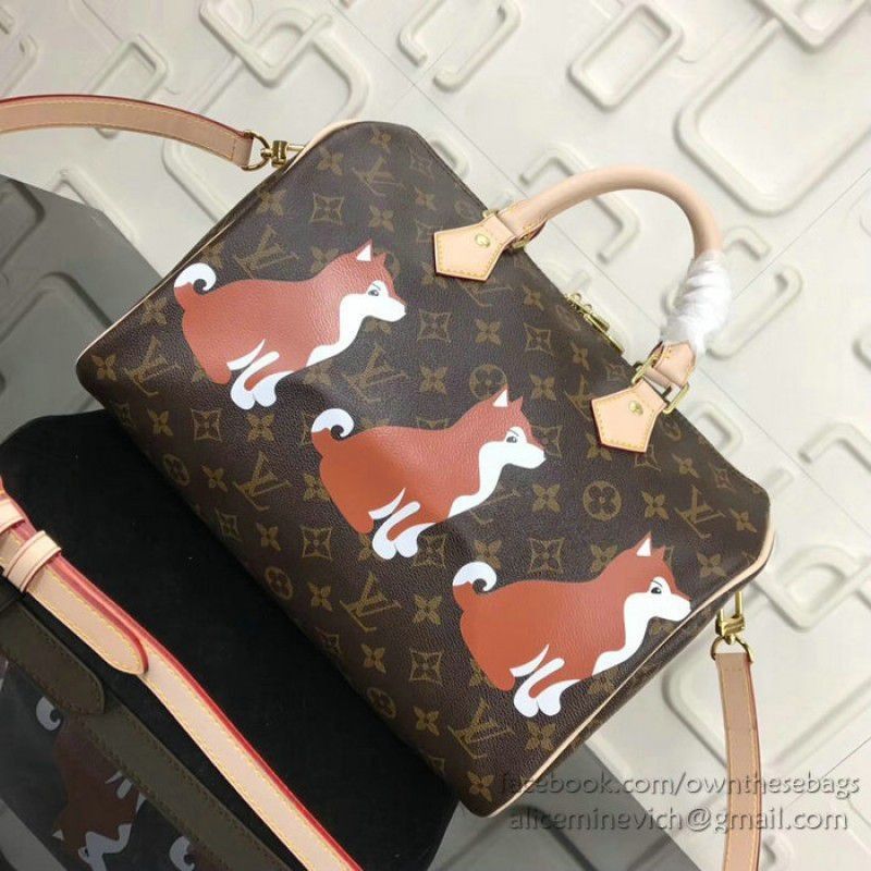 Dog Print Speedy Bandouliere 30 M41112