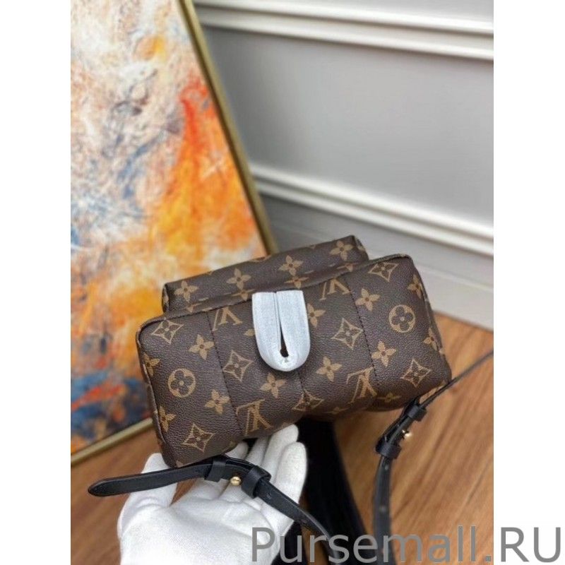 Palm Springs PM Backpack Monogram Canvas M44871